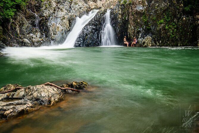Amazing Daintree Rainforest Tour Waterfall Hike, Lunch, Swim & Crocodile Cruise - Exploring the Daintree Rainforest: Waterfall Hike, Wildlife, and More
