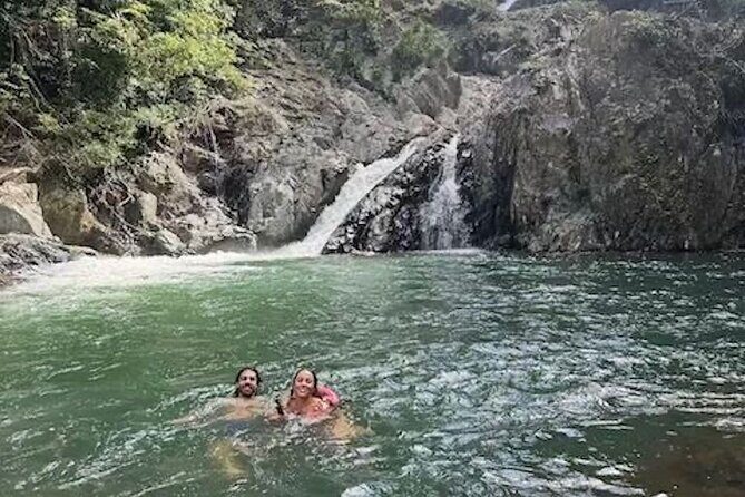 Amazing Daintree Rainforest Tour Waterfall Hike, Lunch, Swim & Crocodile Cruise - Frequently Asked Questions