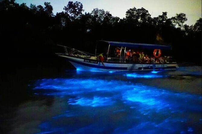 Amazing Fireflies With Blue Tears Watching & Kuala Selangor Tour - Exploring Kuala Selangor: What to Expect