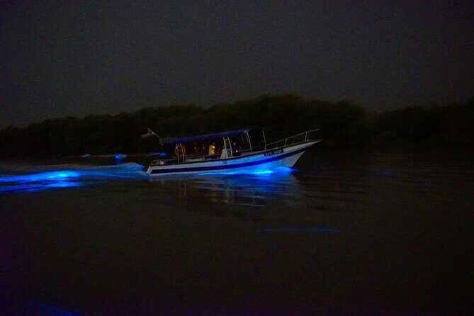 Amazing Fireflies With Blue Tears Watching & Kuala Selangor Tour - Transportation and Group Size