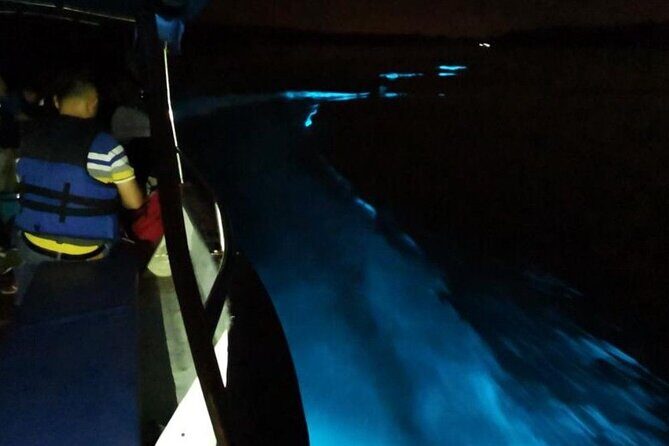 Amazing Fireflies With Blue Tears Watching & Kuala Selangor Tour - Value for Money and Practical Considerations