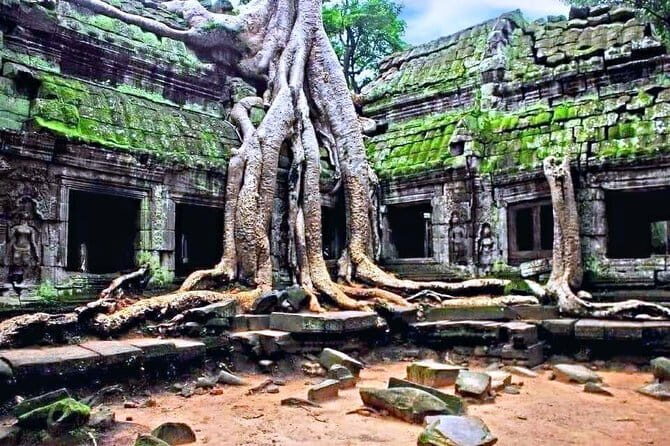 Amazing full day TUKTUK tour - Final Thoughts: Is it Worth It?