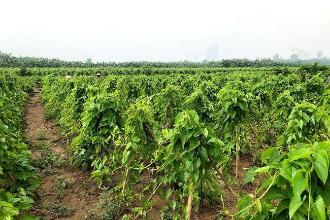 Amazing Hanoi Hidden Corner Discovery - Frequently Asked Questions