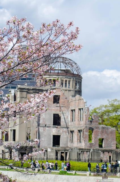 Amazing Hiroshima: Private City Tour with a Local Guide - Key Points