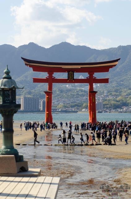 Amazing Hiroshima: Private City Tour with a Local Guide - Final Thoughts