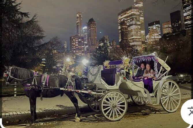 Amazing Horse and Carriage Rockefeller and Christmas lights tour - Key Points