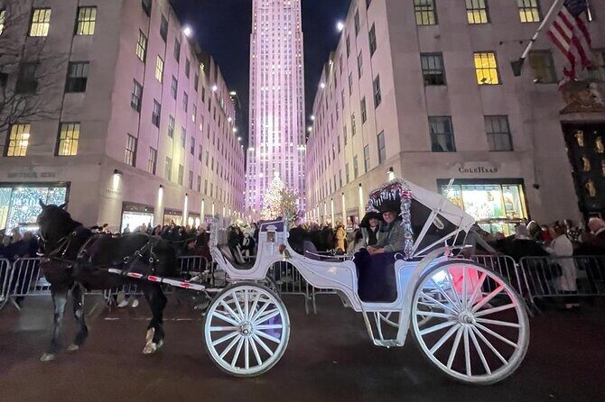 Amazing Horse and Carriage Rockefeller and Christmas lights tour - Who Will Love This Tour?