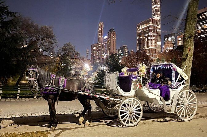 Amazing Horse and Carriage Rockefeller and Christmas lights tour - Final Thoughts – Why This Tour is Worth Considering