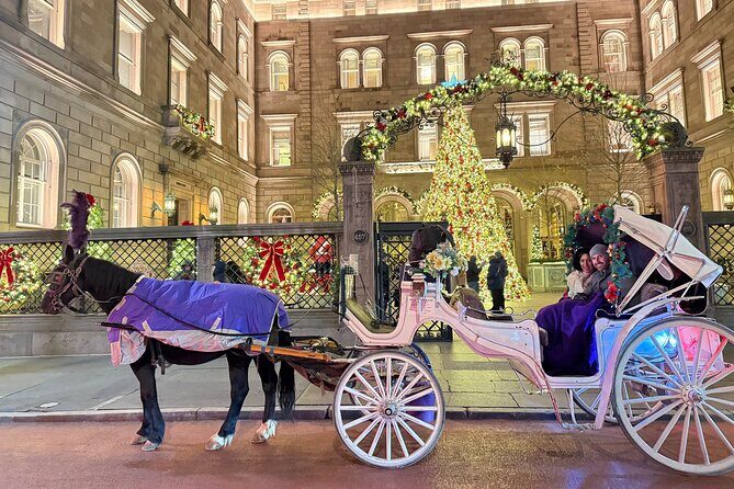 Amazing Horse and Carriage Rockefeller and Christmas lights tour - FAQ