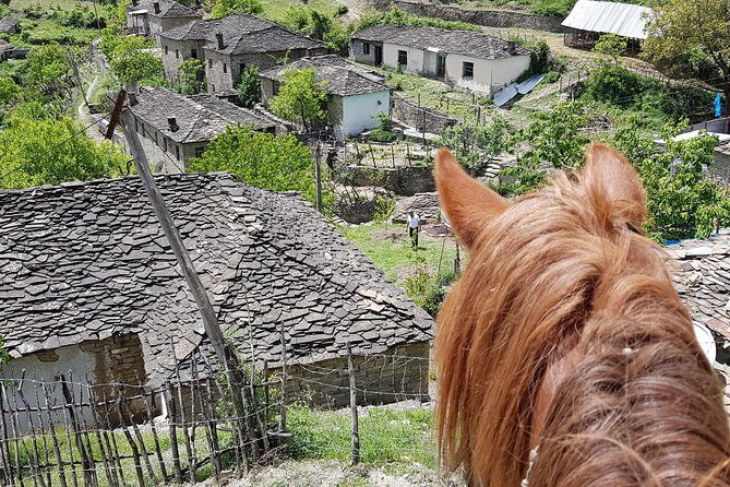 Amazing Horse Riding Experience at Vjosa National Park in Permet - Exploring the Permet Horseback Riding Tour in Detail