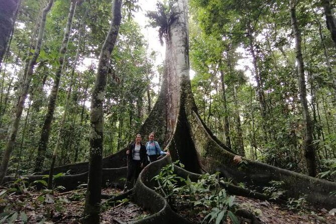 Amazing Jungle 3Days 2Nights - Amazon Wonder Expeditions - Experience the Amazon Jungle in 3 Days with Amazon Wonder Expeditions