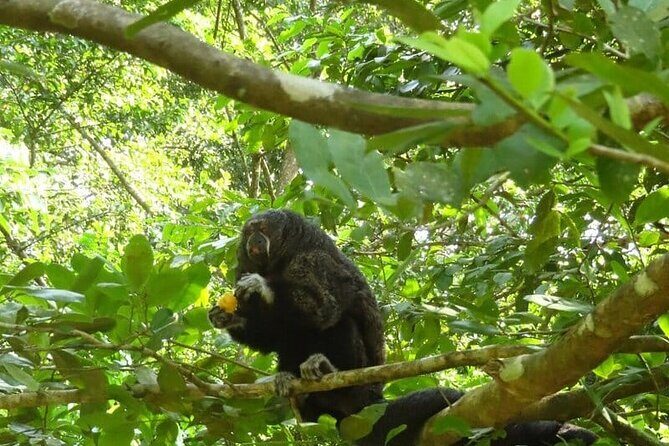 Amazing Jungle 3Days 2Nights - Amazon Wonder Expeditions - Who Will Love This Tour?
