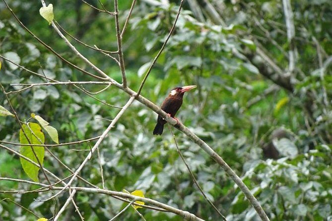 Amazing Jungle 3Days 2Nights - Amazon Wonder Expeditions - Frequently Asked Questions