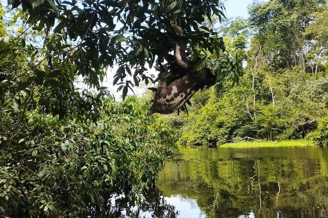 Amazing Jungle 3Days 2Nights - Amazon Wonder Expeditions - Final Thoughts