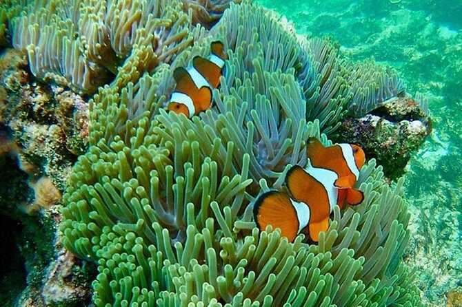 Amazing Krabi 7 Islands One Day Snorkeling Tour By Big Longtail Boat - Final Thoughts