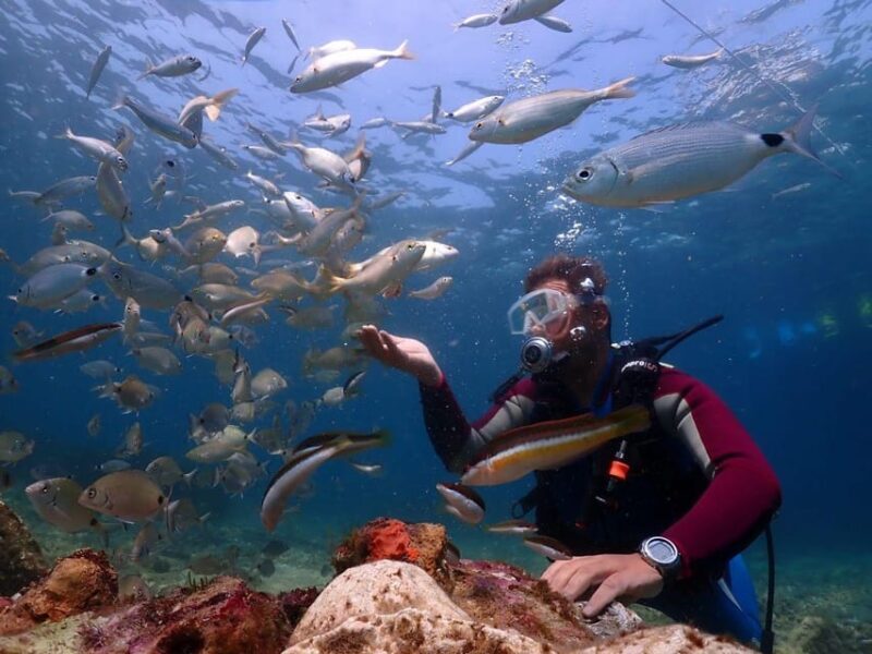 AMAZING KUSADASI SCUBA DIVING - Returning and Reflecting: Back to Kusadasi