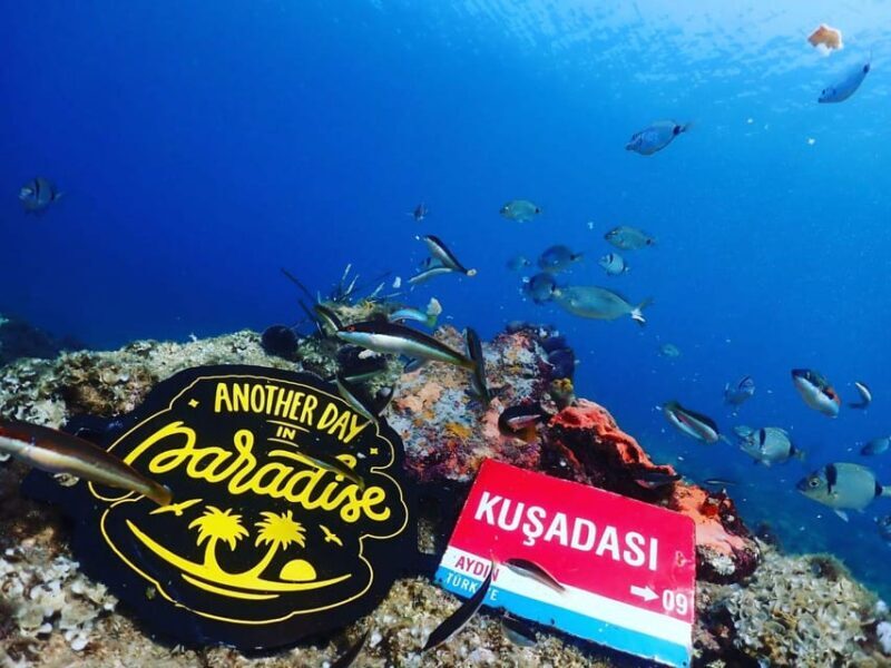 AMAZING KUSADASI SCUBA DIVING - Things to Keep in Mind