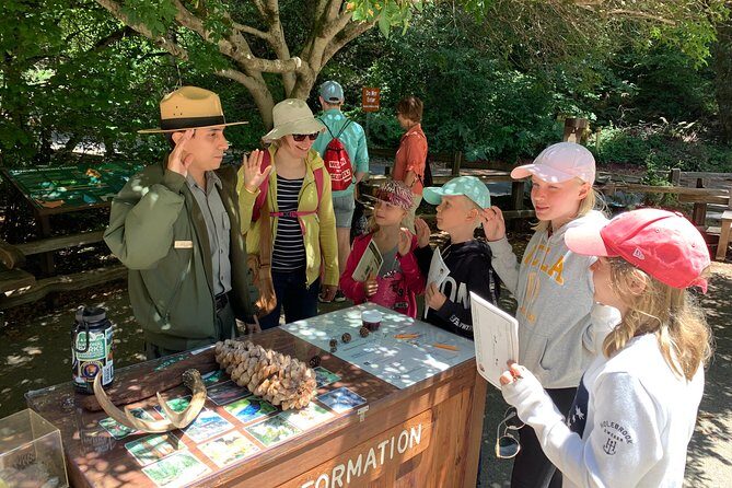 Amazing Muir Woods and Sausalito Tour - The Itinerary in Detail