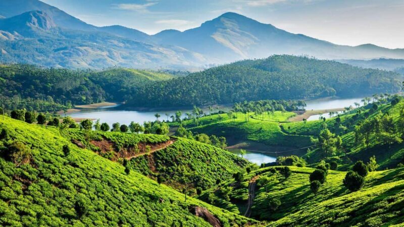 Amazing Munnar Alleppey Tour 4D/3N - From Hills to Backwaters