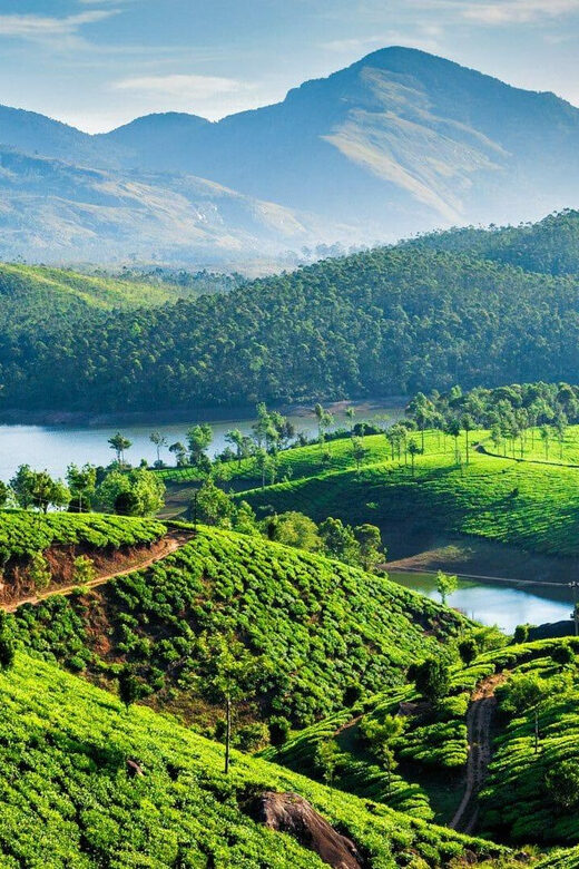 Amazing Munnar Alleppey Tour 4D/3N - Overall Value and Experience