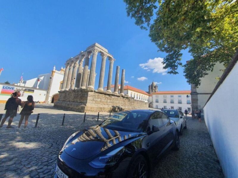 Amazing Private Tour to Alentejo Tour From Lisbon - Who Will Love This Tour?