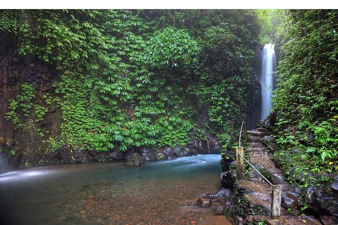 Amazing Private Tours: Dolphins Lovina and Gitgit Waterfall include Lunch - FAQ