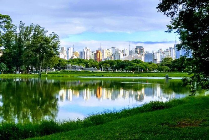 Amazing São Paulo overview in 4 or 5 hours with a private guide - What travelers love and what to consider