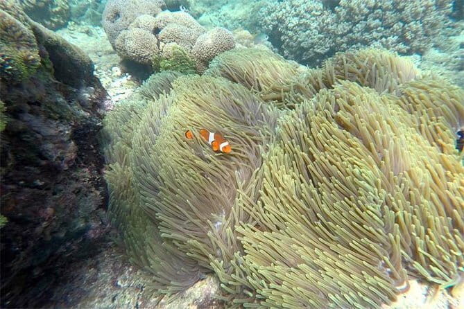 Amazing Snorkeling at Blue Lagoon - What You Can Expect from the Itinerary