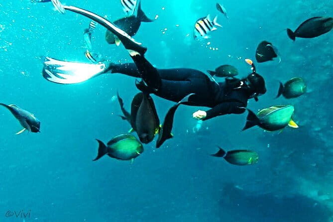 Amazing Snorkeling at Blue Lagoon - Authenticity and Personal Touches