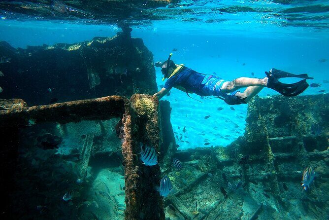 Amazing Snorkeling Experience in Cancun - Who Should Consider This Tour?