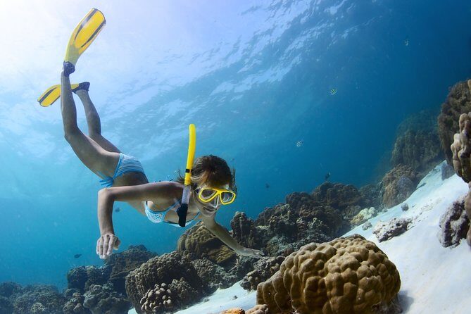 Amazing Snorkeling Experience in Cancun - Final Thoughts