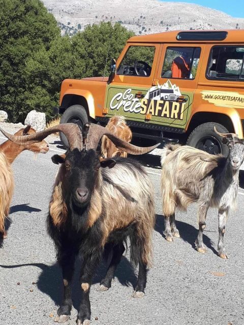Amazing Sunset Safari Route with Dinner - Amazing Sunset Safari Route with Dinner: A Comprehensive Review