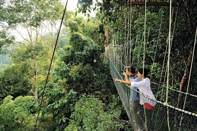 Amazing Taman Negara Day Trip from Kuala Lumpur Including Lunch - Exploring Taman Negara: A Nature Lover’s Dream