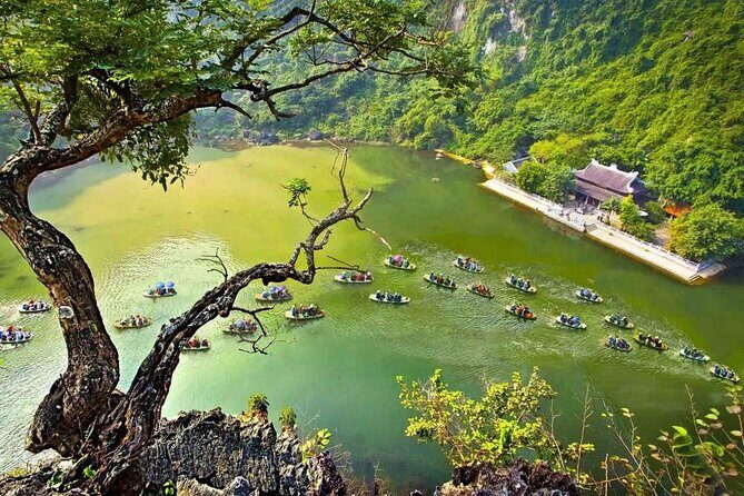 Amazing Tour - Bai Dinh - Trang An - Mua Cave 1 Day Trip - A Deep Dive into the Ninh Binh Tour Experience