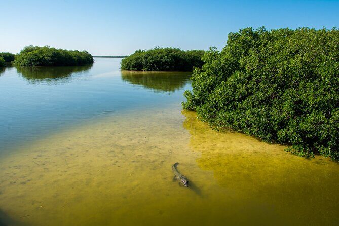 Amazing Tour in Sian Kaan biosphere with Transportation from Cancún! - FAQ