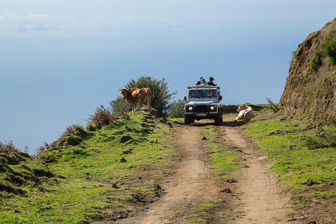Amazing West - Jeep Safari Tour - Full Day - Shared Tour - Exploring Madeira’s Western Wonders in a Rugged Jeep