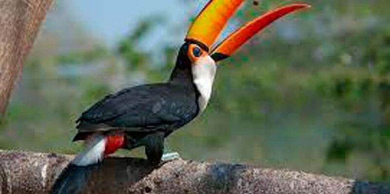 Amazon 2 days 1 night - Final Thoughts on the Amazon 2 Days 1 Night Tour