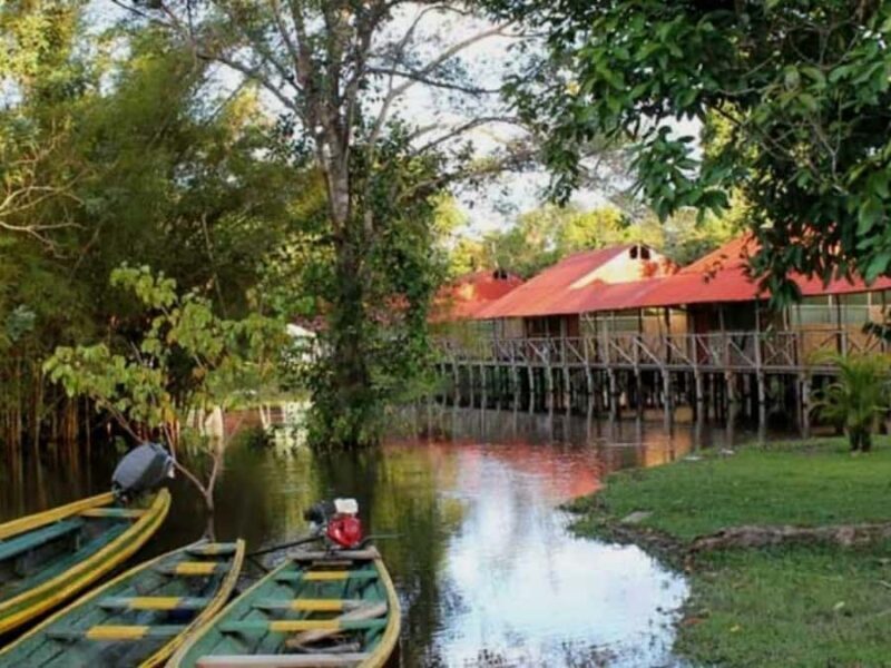 Amazon 4 days 3 nights - Amazon 4 Days 3 Nights: An Authentic Jungle Adventure in Peru