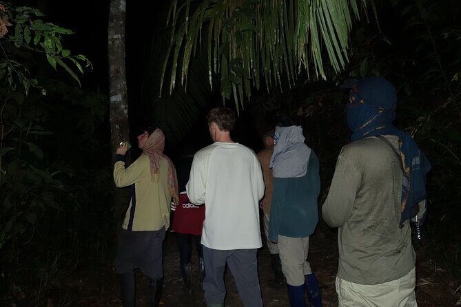 amazon adventure 4 days 3 nights - Day 4: Dawn in the Jungle and Return to Iquitos