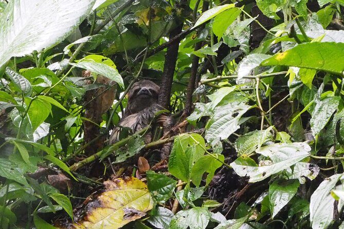 Amazon Conscious Adventure: 5-Day Trek, Kayak & Wildlife - Why This Tour Offers Great Value