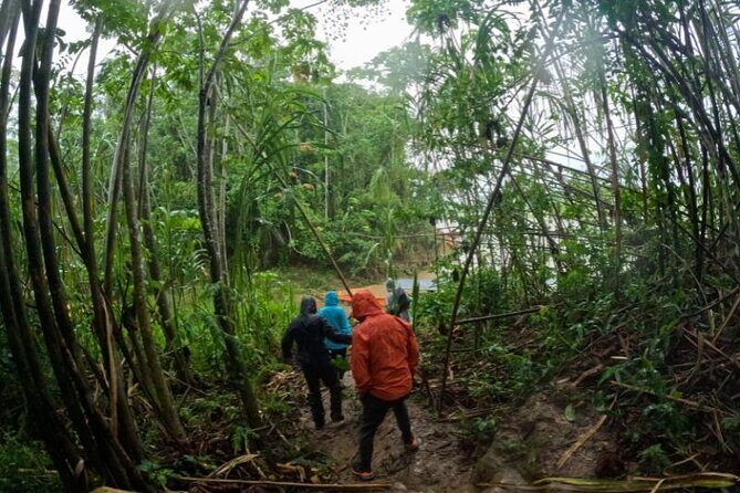 Amazon Jungle 3-Day Tour from Puerto Maldonado - FAQ