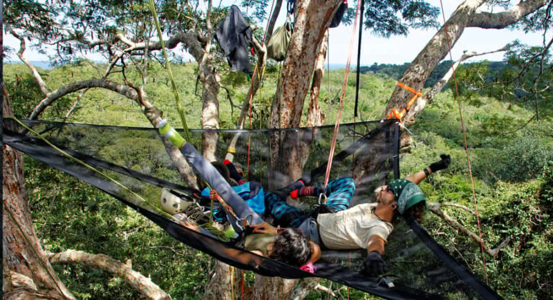 Amazon Jungle 3-Hour Tree Climbing Activity - Key Points