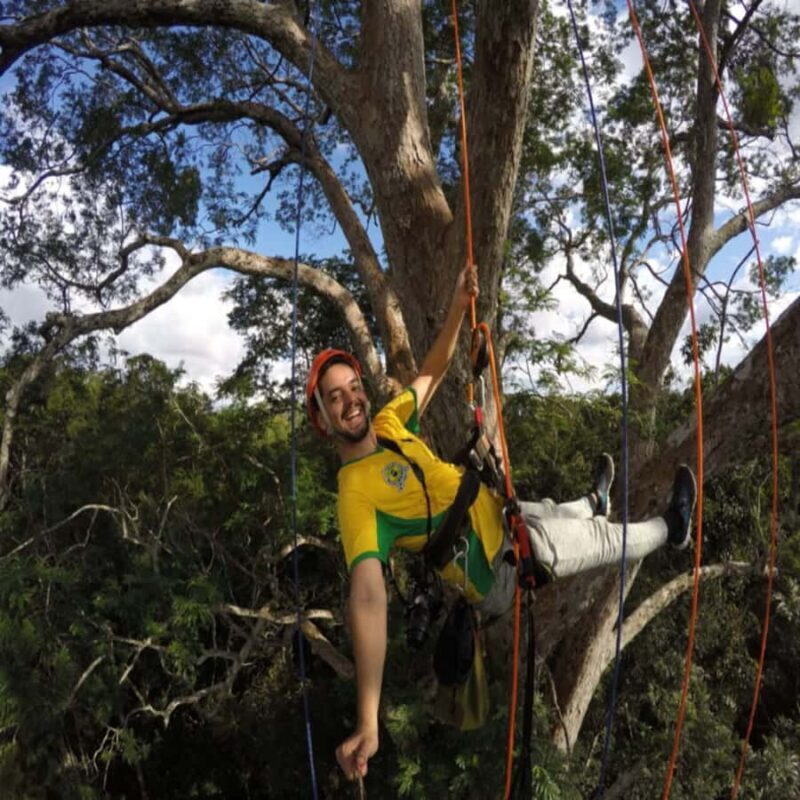 Amazon Jungle 3-Hour Tree Climbing Activity - A Deep Dive into the Amazon Jungle Tree Climbing Tour