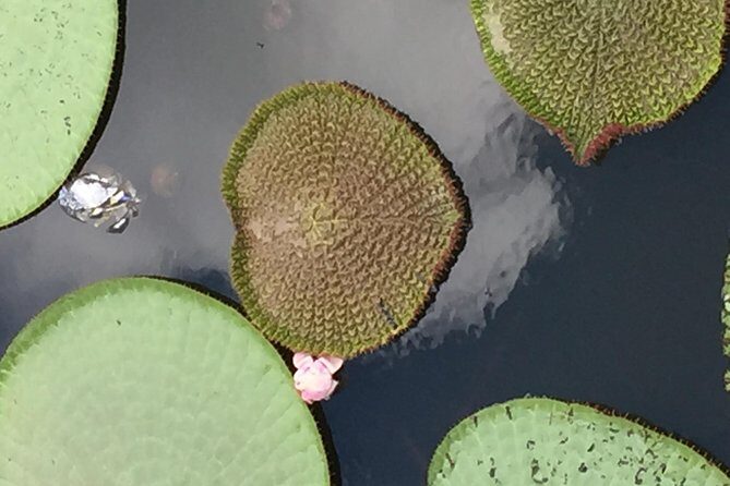 Amazon Jungle Experience with Overnight - Final Thoughts