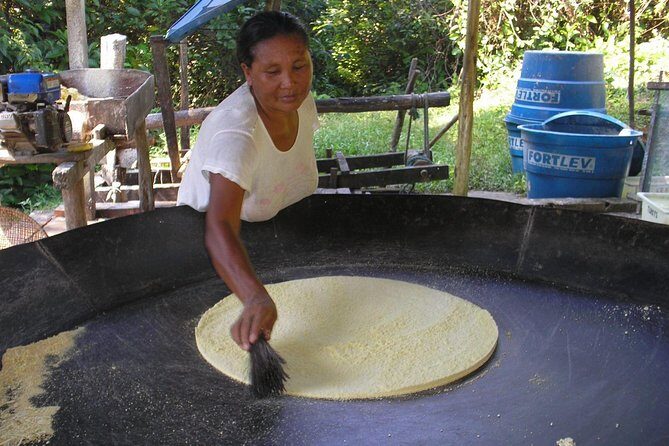 Amazon Jungle Experience with Overnight - A Deep Dive into the Amazon Jungle Experience