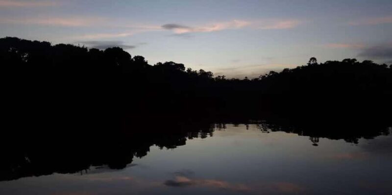 Amazon Jungle Night Hike - The Experience Provider: XPLORA AMERICA