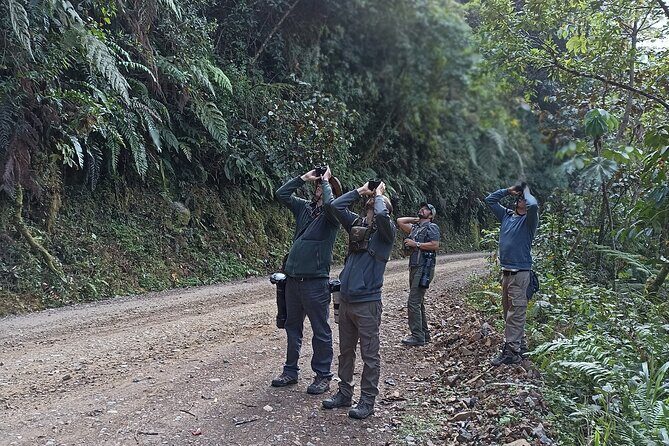 Amazon Jungle Tour 3 days - Day 2: Full Immersion in Wildlife and Waterways