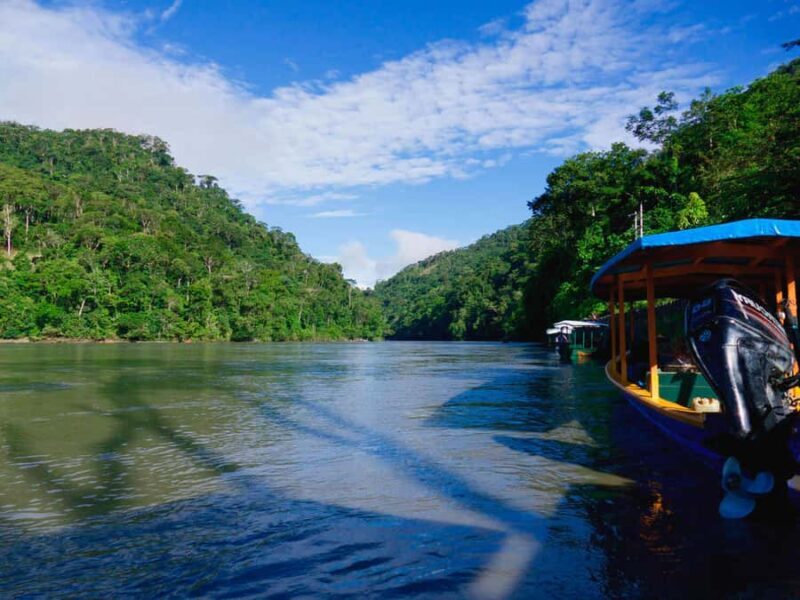 Amazon Rainforest 5 Day Tour - Key Points