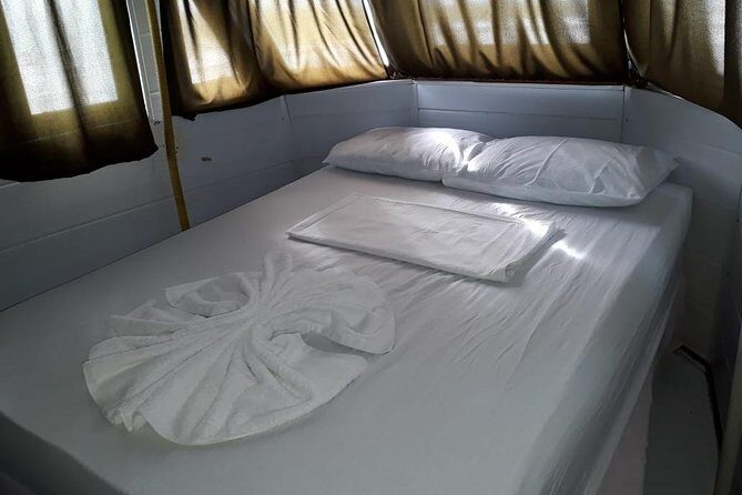 Amazon River Excursion - Orchid Package - 3 days / 2 Nights - Who Is This Tour Best Suited For?