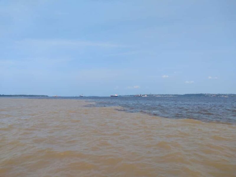 Amazon Safari® Manaus: Day trip on the Amazon River - Who Would Enjoy This Tour?